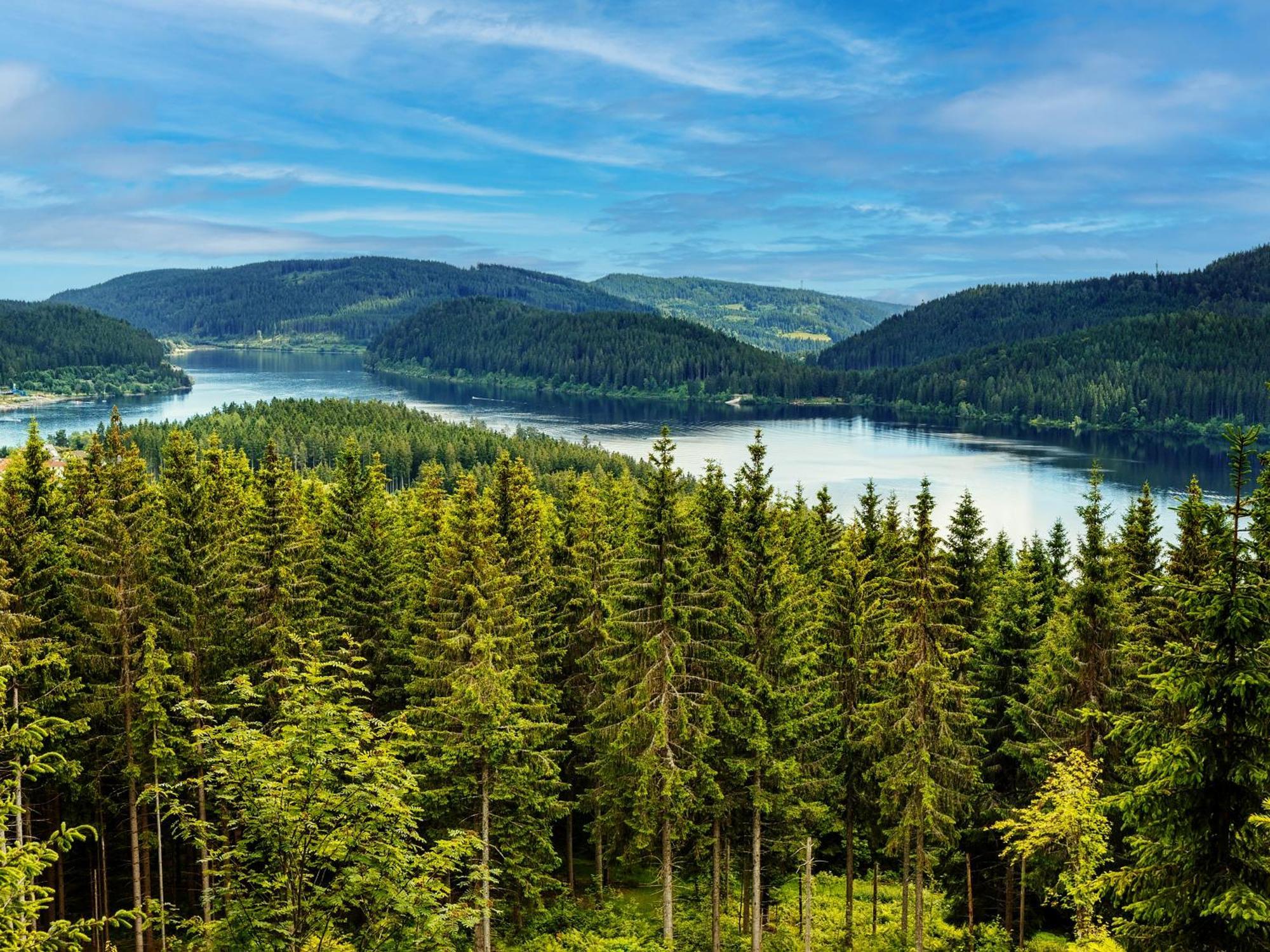 Black Forest Luxury Apartment Baerenhoehle Mit Sauna Schluchsee Εξωτερικό φωτογραφία