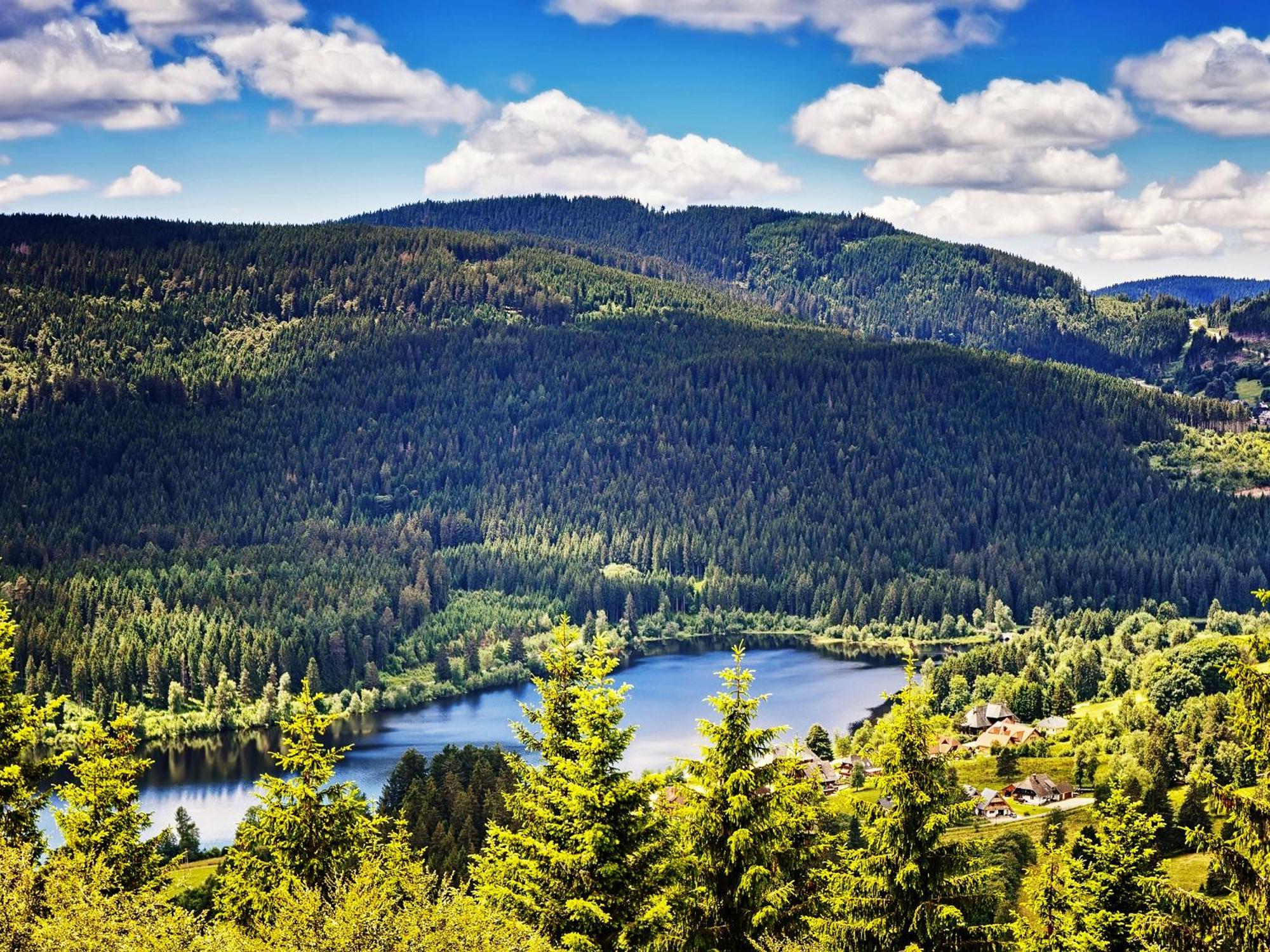 Black Forest Luxury Apartment Baerenhoehle Mit Sauna Schluchsee Εξωτερικό φωτογραφία